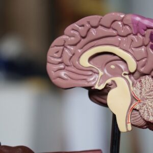 Therapy Counseling — Healthcare Marketing