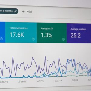 Local SEO Service — Google Maps Ranking